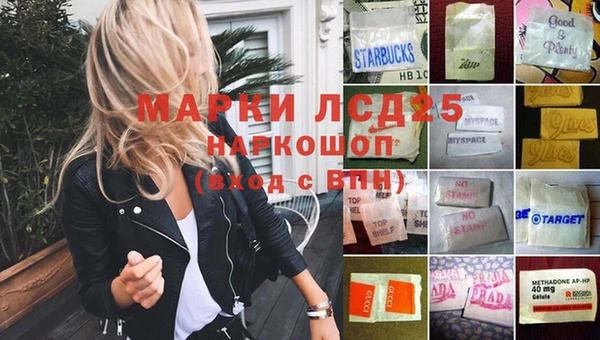 молекула духа Осинники