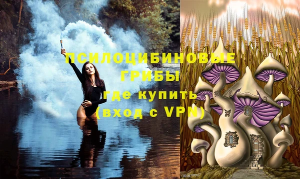 ПСИЛОЦИБИНОВЫЕ ГРИБЫ Осташков