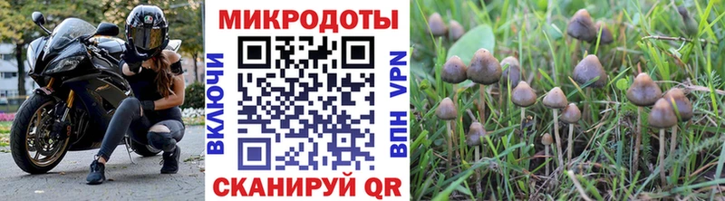 даркнет сайт  Покровск  Галлюциногенные грибы мухоморы 